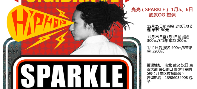 上海龙舞蹈 亮亮（SPARKLE）元月武汉OG授课